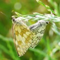 /album/okac-bojinkovy/a2015-06-25-22-jpg/
